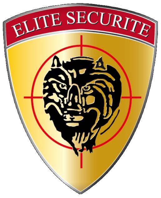 ETS - Société de sécurité privée Paris - Mulhouse 68 - Lille 59